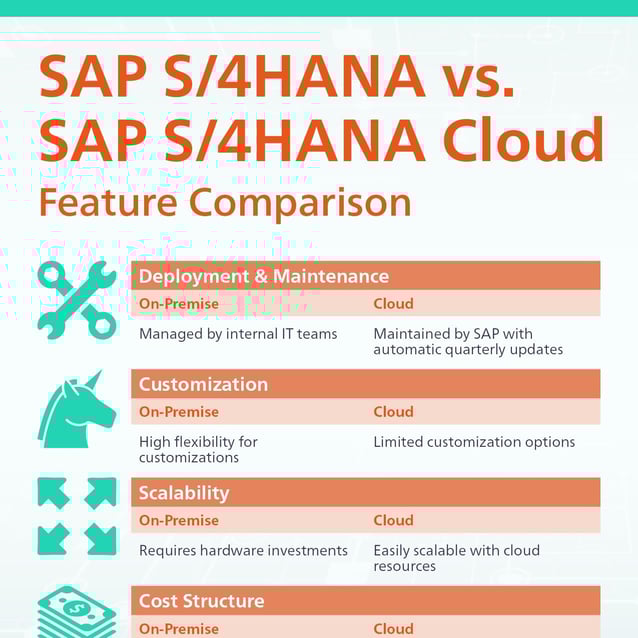 SAP S 4HANA DISADVANTAGES visual data 8